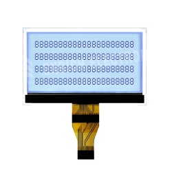 3.1 inch graphic COG display